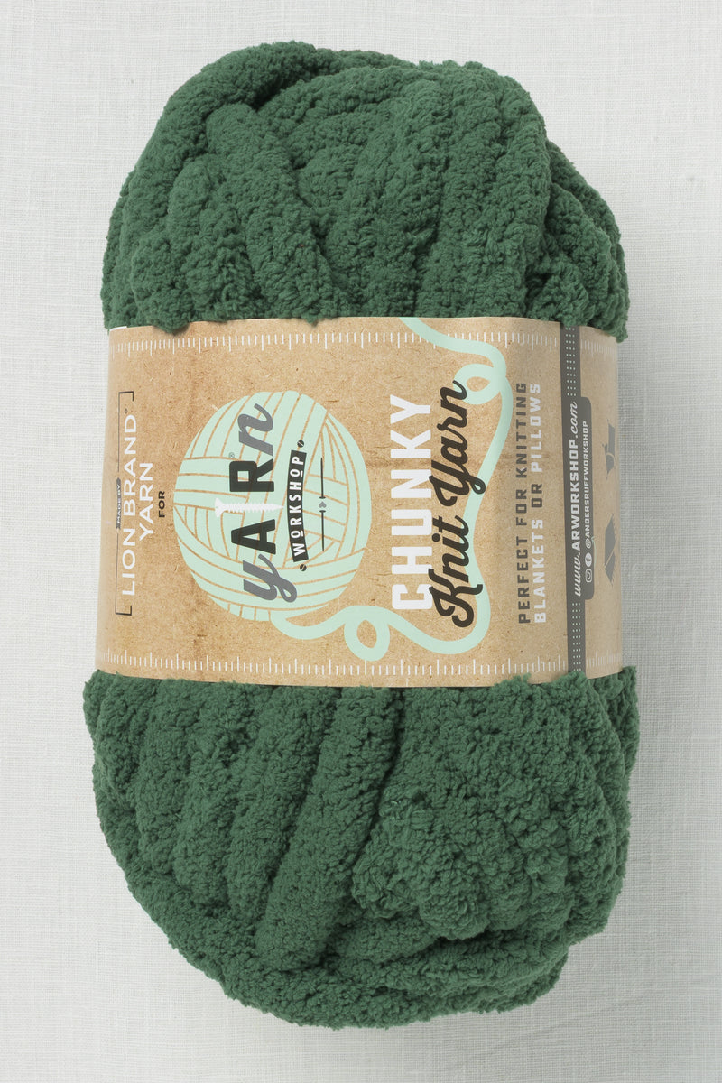 Lion Brand AR Workshop Chunky Knit 172AK Cedar