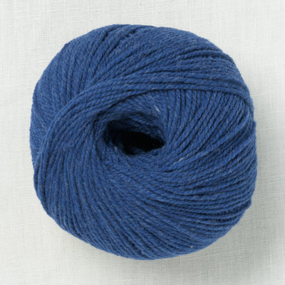 De Rerum Natura Ulysse Delphinium