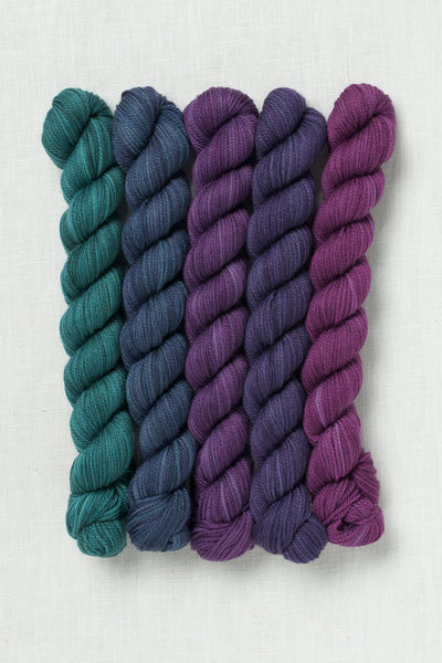 Sweet Georgia Party of Five Tough Love Sock Mini Skein Set Tanzanite