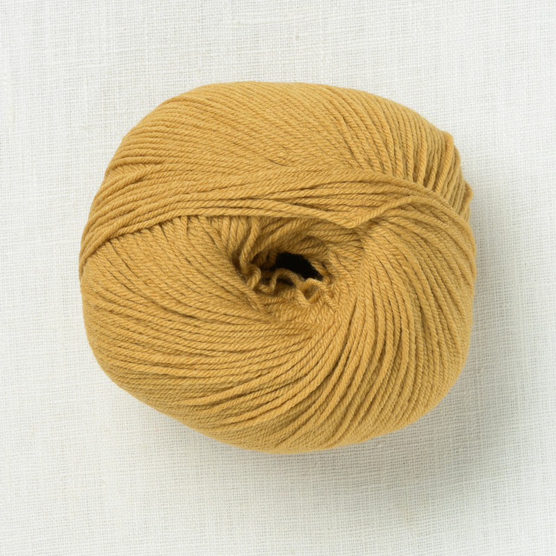 De Rerum Natura Albertine Ocre