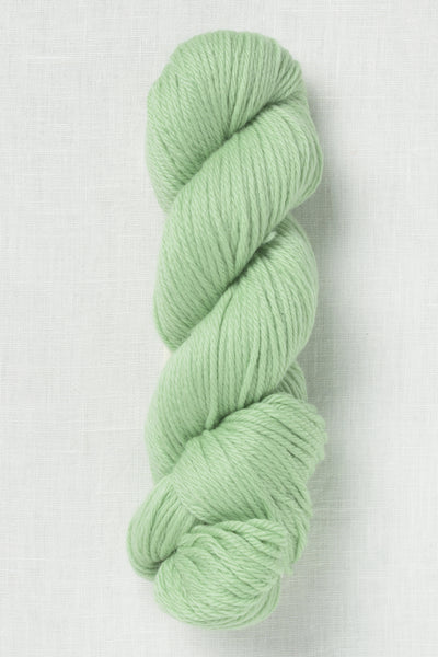 Cascade 220 Superwash Aran 411 Nile Green