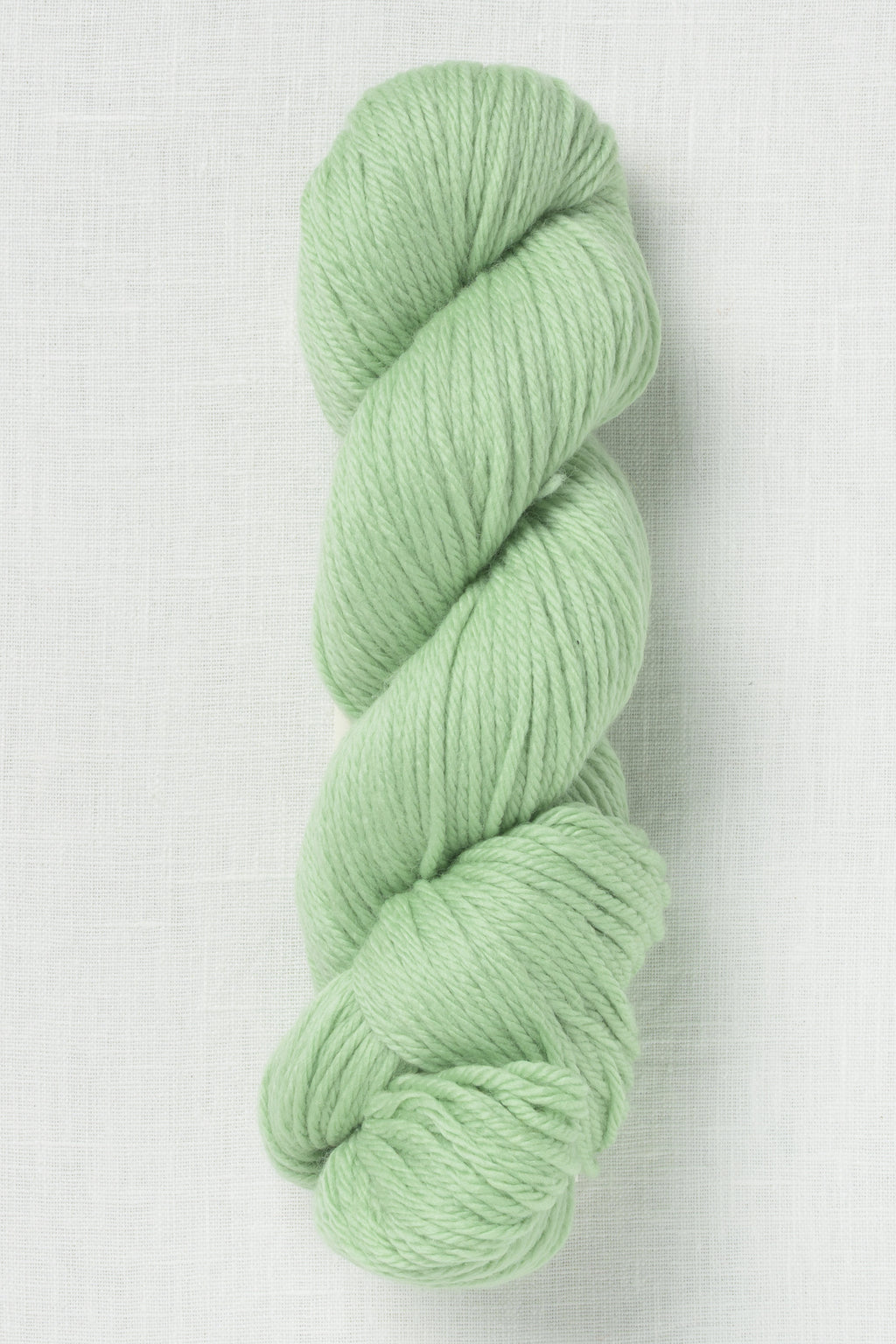 Cascade 220 Superwash Aran 411 Nile Green