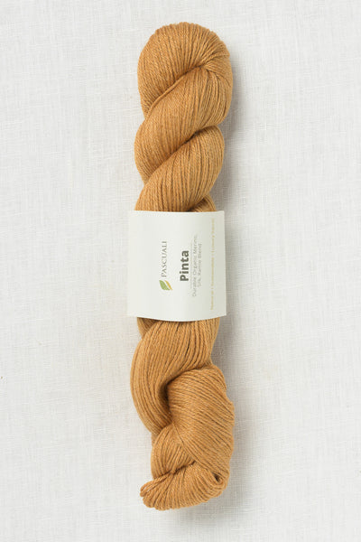 Pascuali Pinta 125 Curry