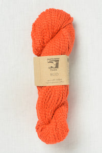 Juniper Moon Farm Bud 145 Amaryllis