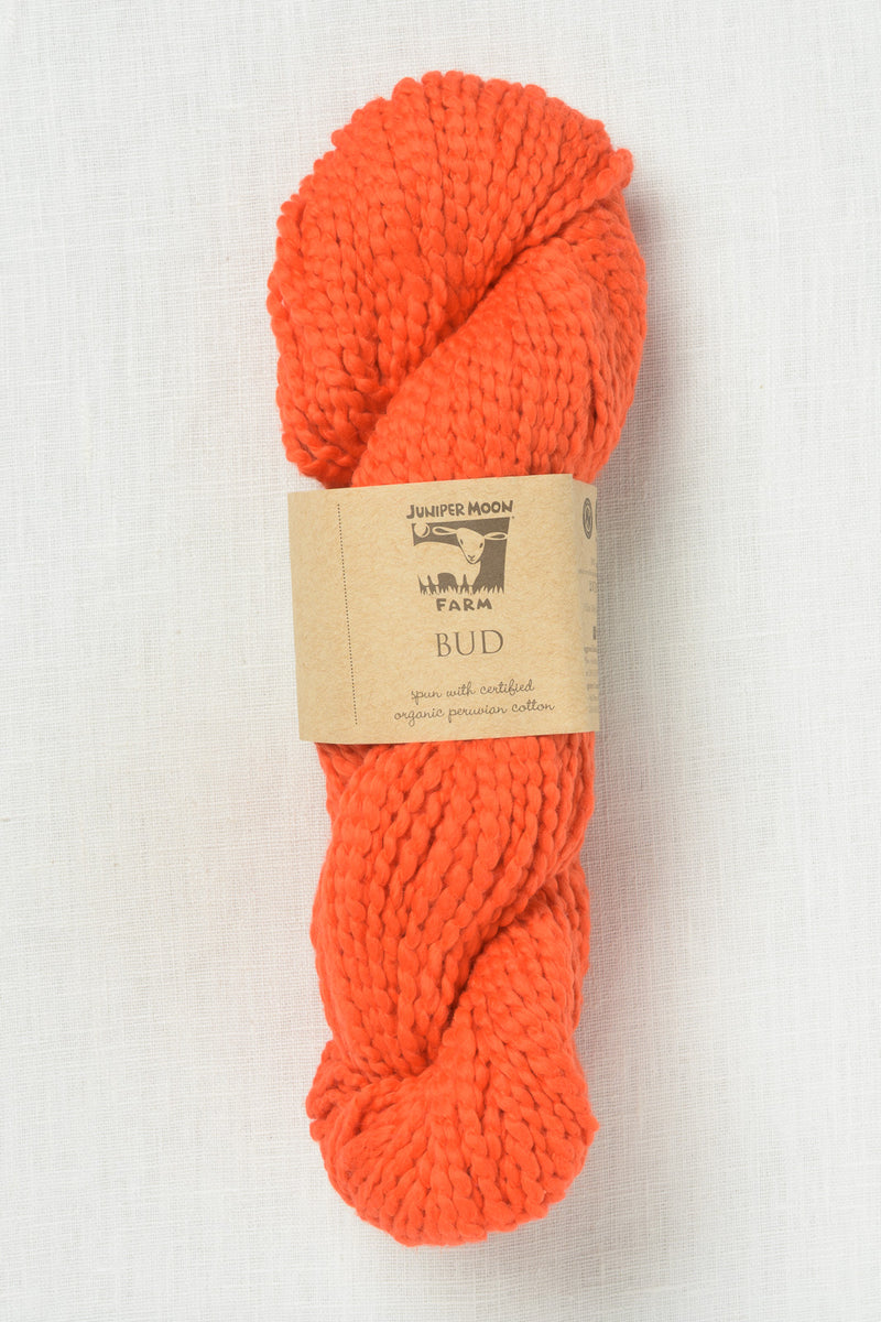 Juniper Moon Farm Bud 145 Amaryllis