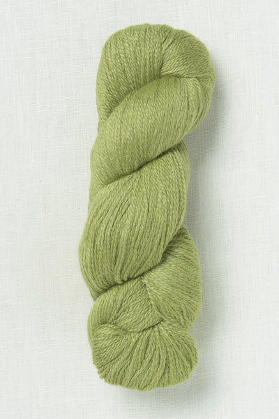 Juniper Moon Farm Moonshine Fine 1019 Matcha Tea