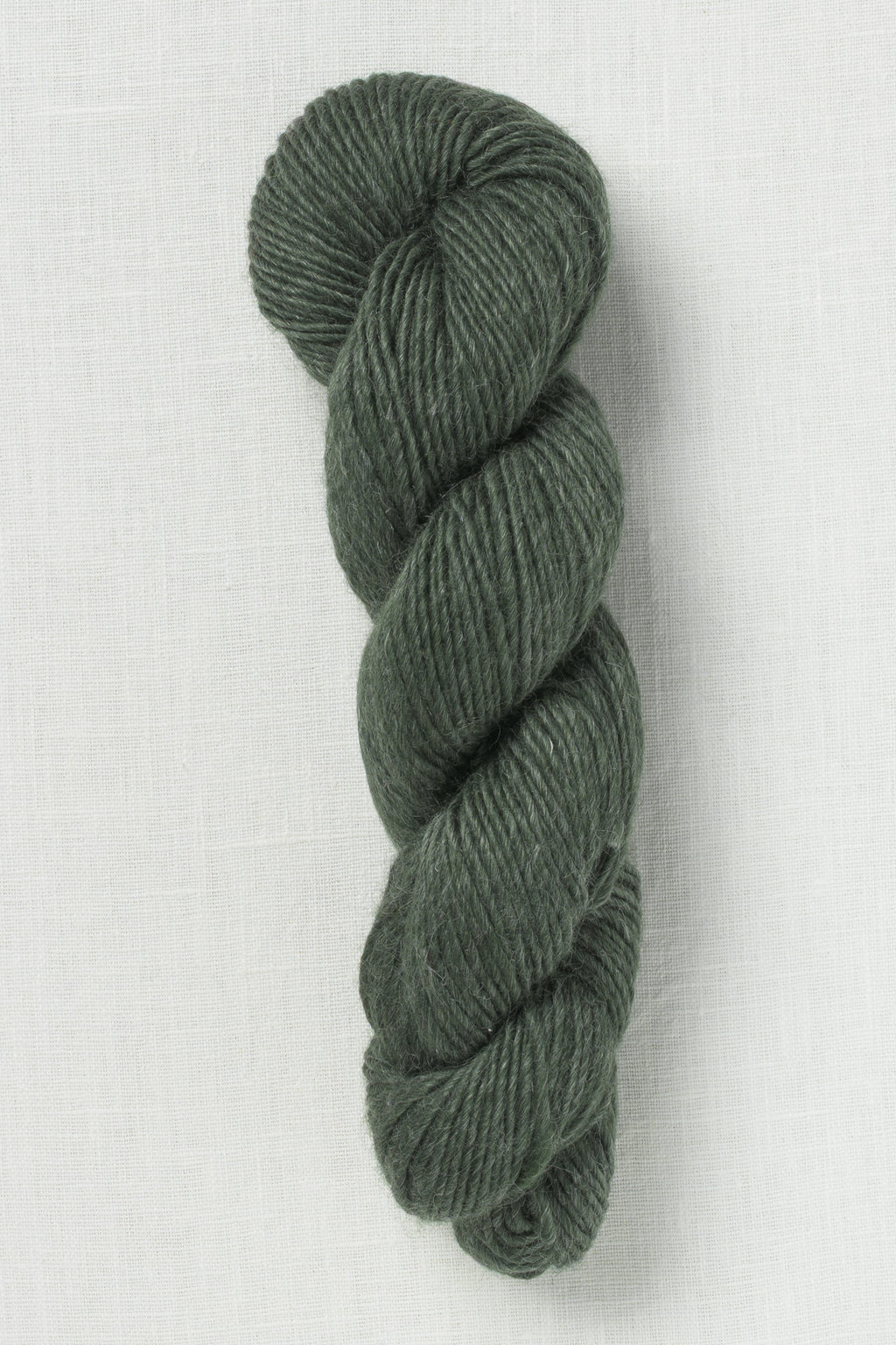 Erika Knight Wild Wool 705 Brisk
