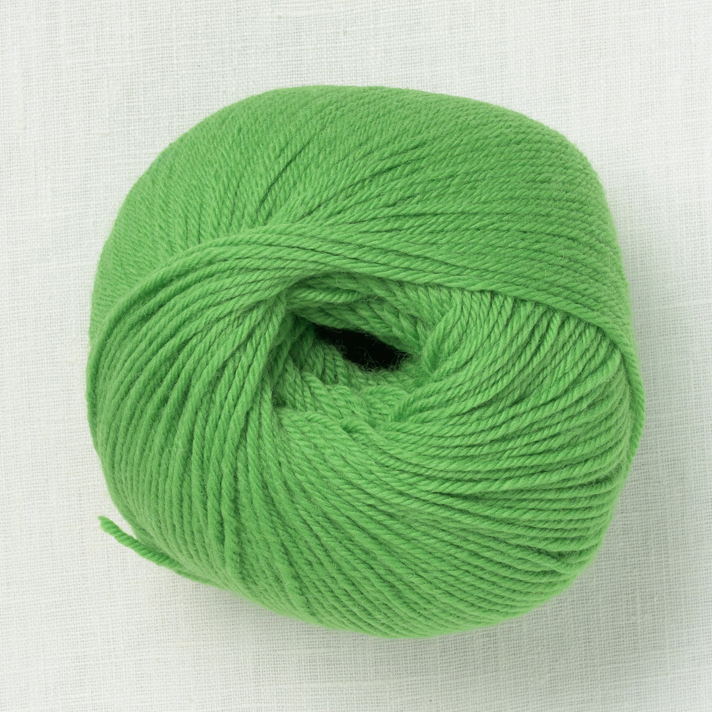 Ella Rae Superwash Classic Wool 1011 Four Leaf Clover