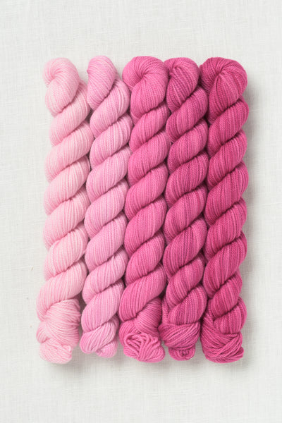 Sweet Georgia Party of Five Tough Love Sock Mini Skein Set Hanami