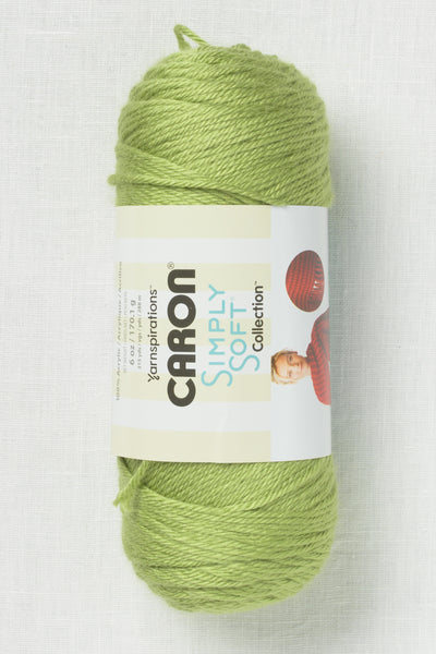 Caron Simply Soft Pistachio