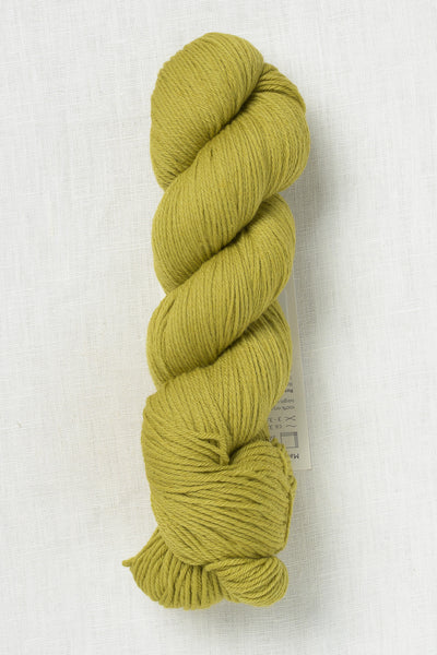 Rosy Green Wool Cheeky Merino Joy 145 Olive