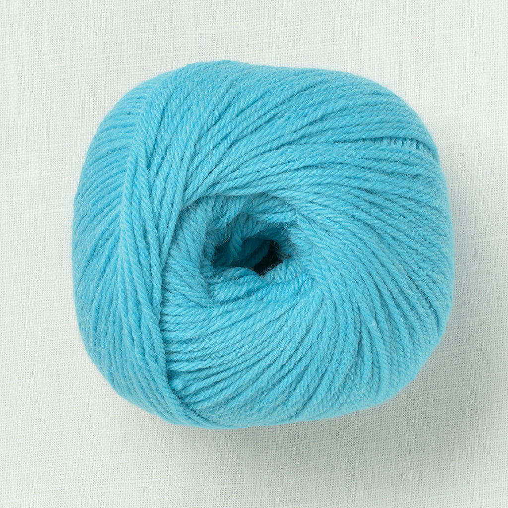 Ella Rae Superwash Classic Wool 1016 Sapphire
