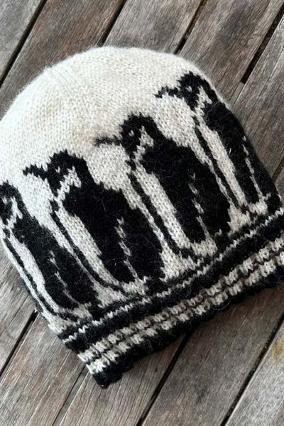 Antarctica Hat by Arne & Carlos