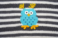 Five Little Owls by Amy Bahrt