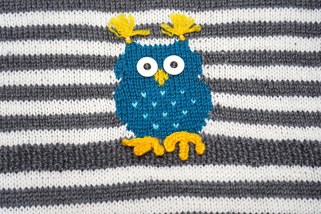 Five Little Owls by Amy Bahrt