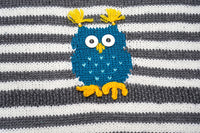 Five Little Owls by Amy Bahrt