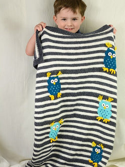 Five Little Owls by Amy Bahrt