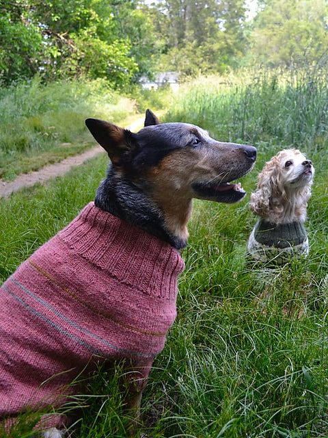 Fetch by Åsa Buchta