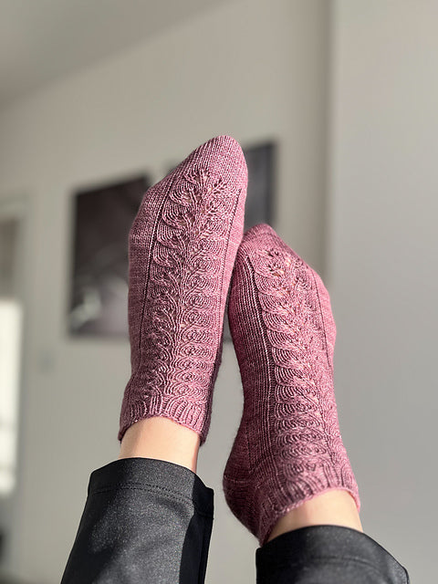 The Sock Project by Summer Lee