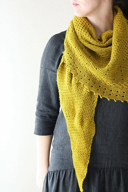 Ingwer by Melanie Berg