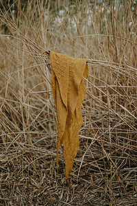 Laine Seasons of Stitches by Justyna Lorkowska