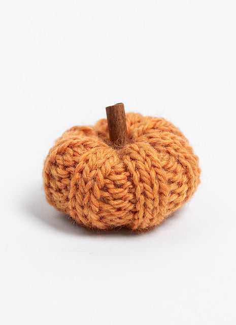 Fall Festival Mini Pumpkins by Nancy Ekvall