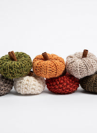 Fall Festival Mini Pumpkins by Nancy Ekvall