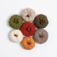 Fall Festival Mini Pumpkins by Nancy Ekvall