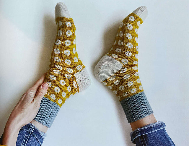 The Sock Project by Summer Lee