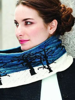 Sullivan by Ashley Rao