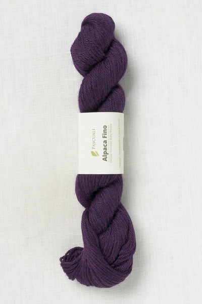 Pascuali Alpaca Fino 63 Grape
