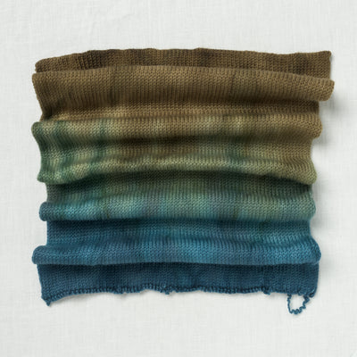 Sweet Georgia Sock Yarn Blank Taiga