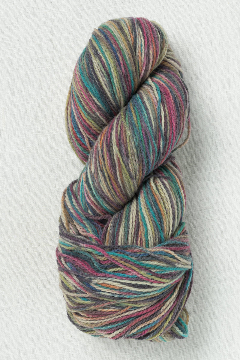 Juniper Moon Patagonia Organic Merino Hand Paints 1014 Fern Gully