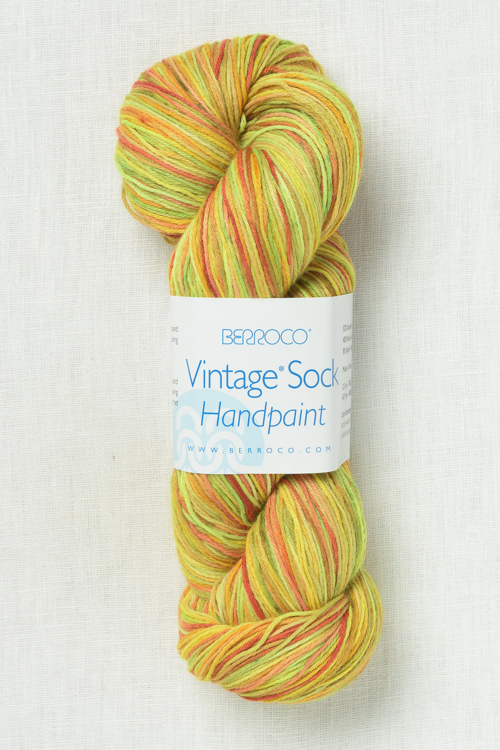 Berroco Vintage Sock Handpaint 12205 Spring Bloom