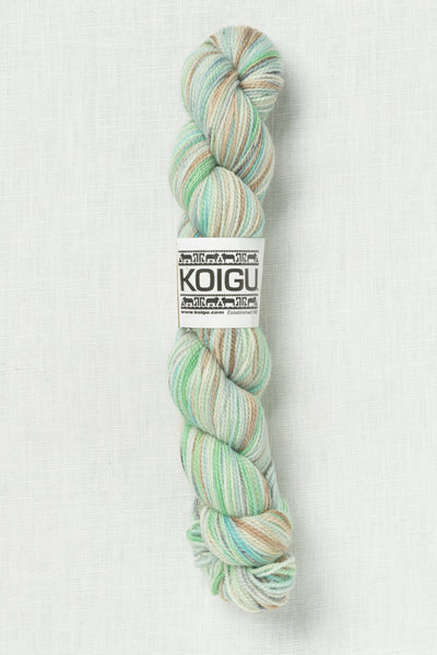 Koigu Painter's Palette Premium Merino KPPPM P072