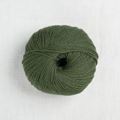 Pascuali Puno Winikunka 62 Moss