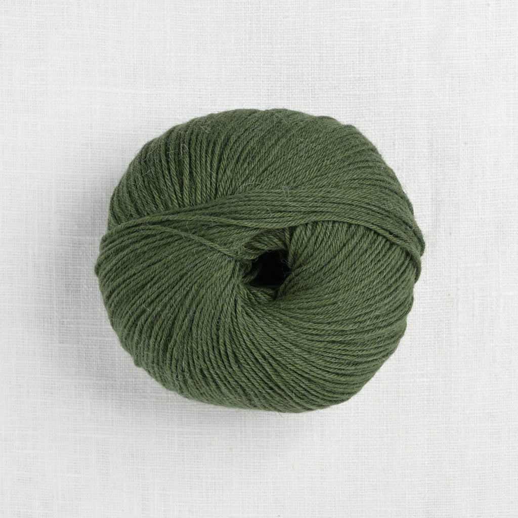 Pascuali Puno Winikunka 62 Moss