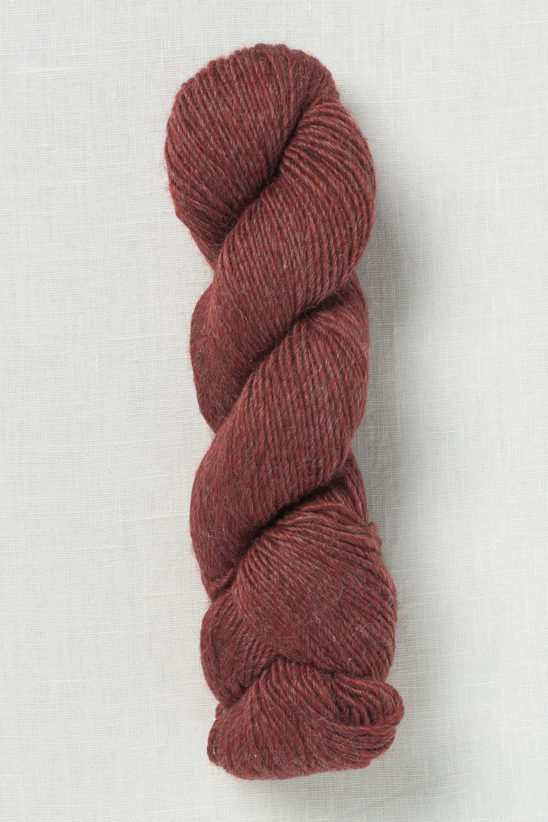 Erika Knight Wild Wool 711 Parade