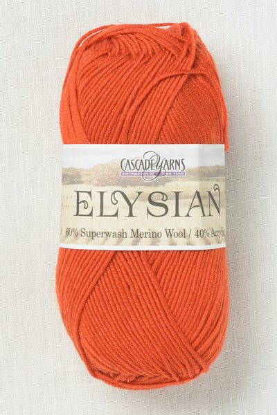 Cascade Elysian 62 Pureed Pumpkin