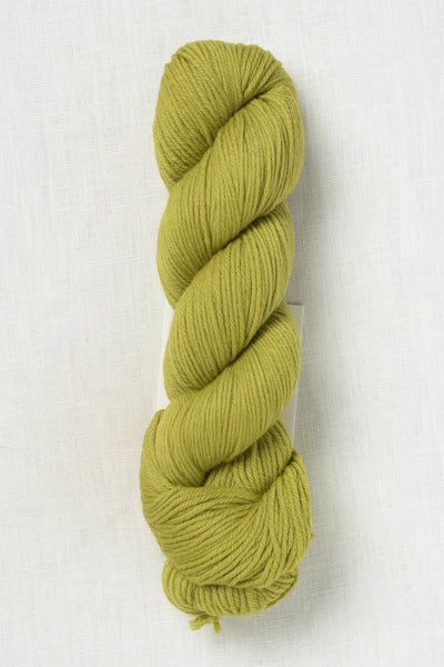 Rosy Green Wool Lovely Merino Treat 145 Olive