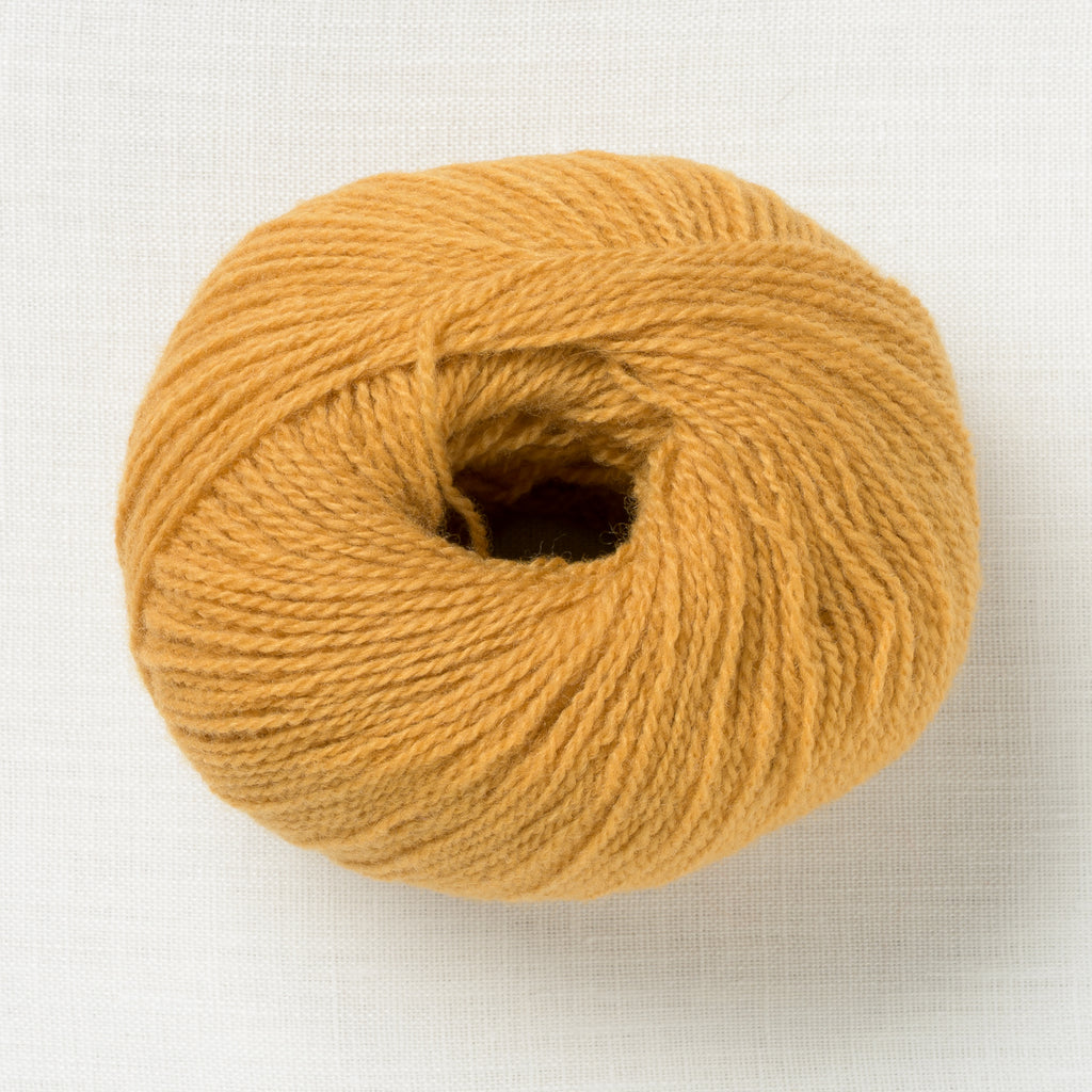 Lamana Milano 08 Curry