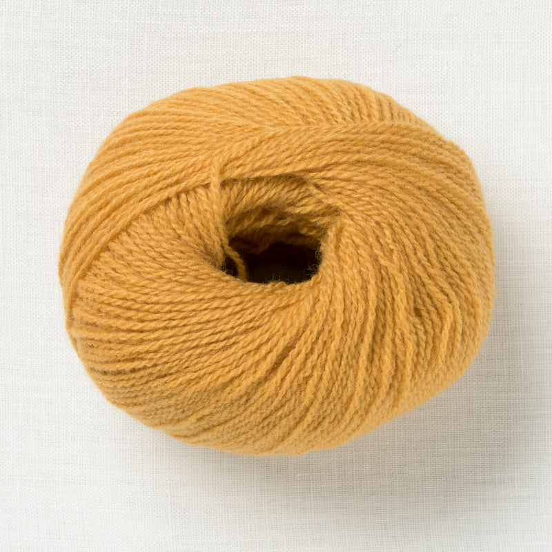 Lamana Milano 08 Curry