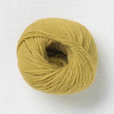 Bramble & Fleece Wooltrace DK Makers Palette Dried Lime