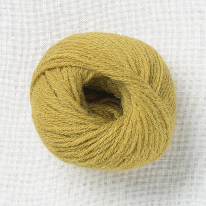 Bramble & Fleece Wooltrace DK Makers Palette Dried Lime