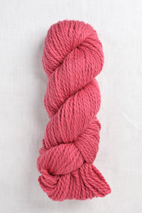 Cascade 128 Superwash 300 Holly Berry