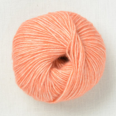 Juniper Moon Farm Cotton + Merino 17 Apricot