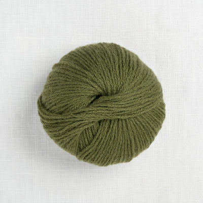 Pascuali Cashmere 6/28 46 Algae
