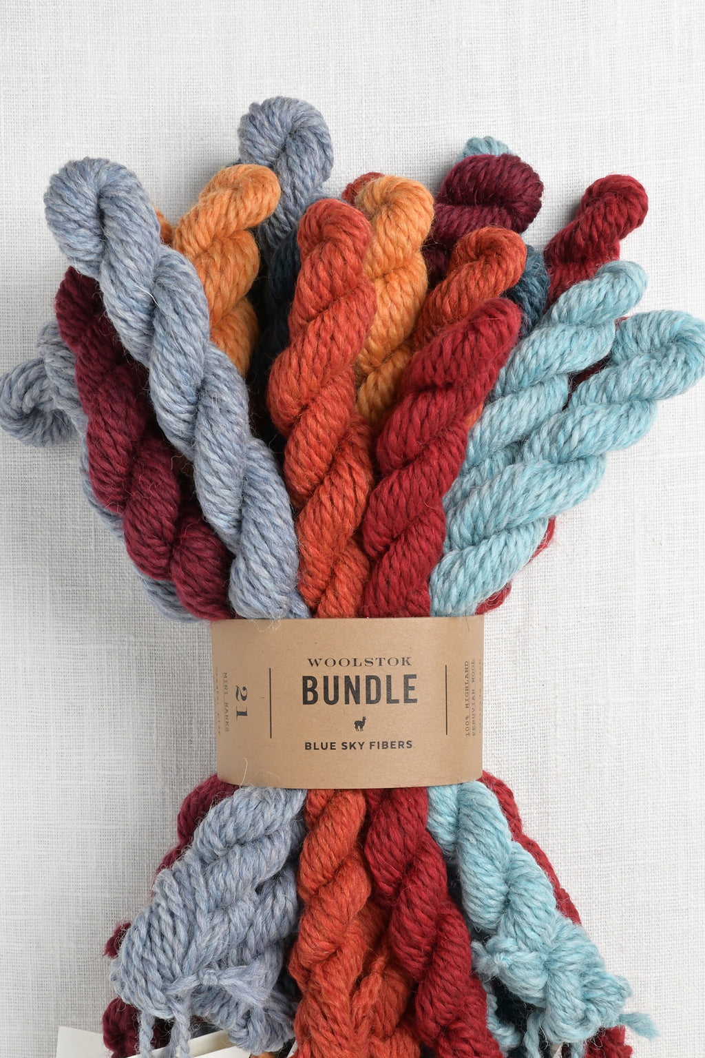 Blue Sky Fibers Woolstok Bundle Fire & Ice