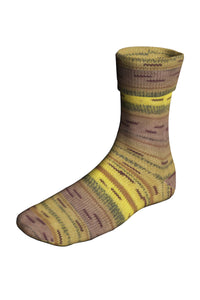 Lang Yarns Super Soxx Color 496 Ikeya Seki swatch