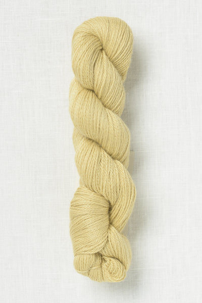 Amano Ayni 5033 Buttercup Glow